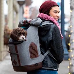 Kurgo K9 Ryggsäck Ta med hunden på en promenad Heather Grey